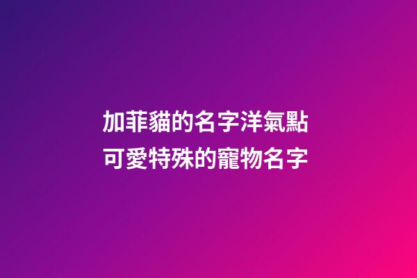 加菲貓的名字洋氣點 可愛特殊的寵物名字